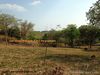 Anvaya Cove Lot for Sale in Mango Grove