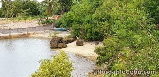 2nd picture of Resedential Beach lot for Sale in Bogo City For Sale in Cebu, Philippines