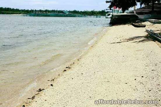 3rd picture of Resedential Beach lot for Sale in Bogo City For Sale in Cebu, Philippines