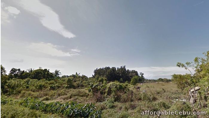 2nd picture of lot for sale For Sale in Cebu, Philippines