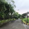 FOR SALE: PALMS POINT, ALABANG