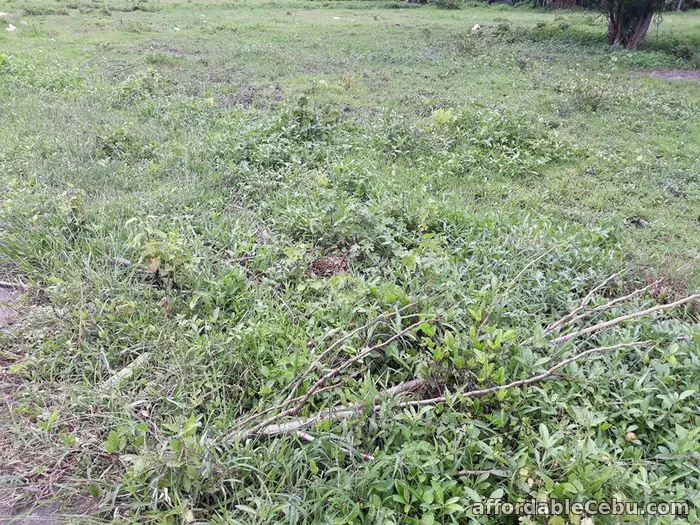 2nd picture of resedencial lot For Sale in Cebu, Philippines