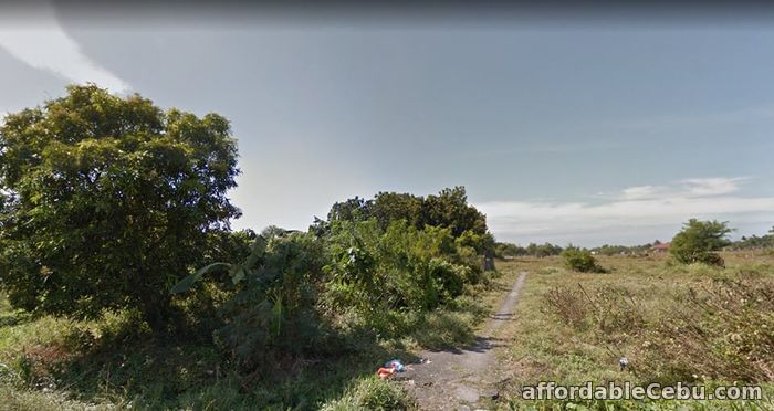 3rd picture of resedencial lot For Sale in Cebu, Philippines