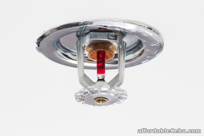 4th picture of Fire Sprinkler in lowest price Offer in Cebu, Philippines