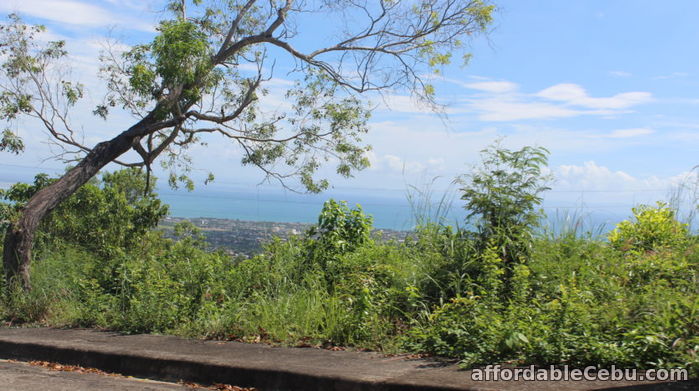 3rd picture of For Sale Lot in Pardo, Cebu City For Sale in Cebu, Philippines