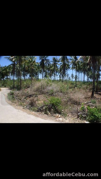 3rd picture of White sand beach lot in Bantayan Island (Atop-Atop). For Sale in Cebu, Philippines