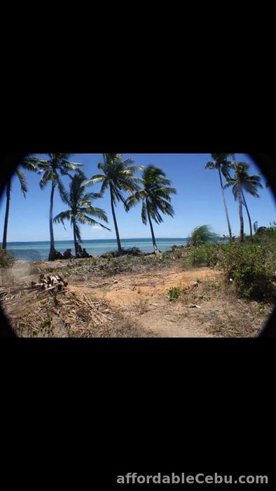 4th picture of White sand beach lot in Bantayan Island (Atop-Atop). For Sale in Cebu, Philippines