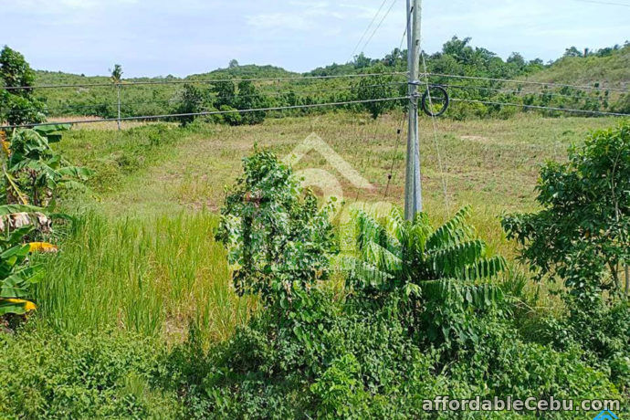 2nd picture of Eden Valley Estate Subdivision(LOT ONLY)Guadalupe Bogo City,Cebu For Sale in Cebu, Philippines