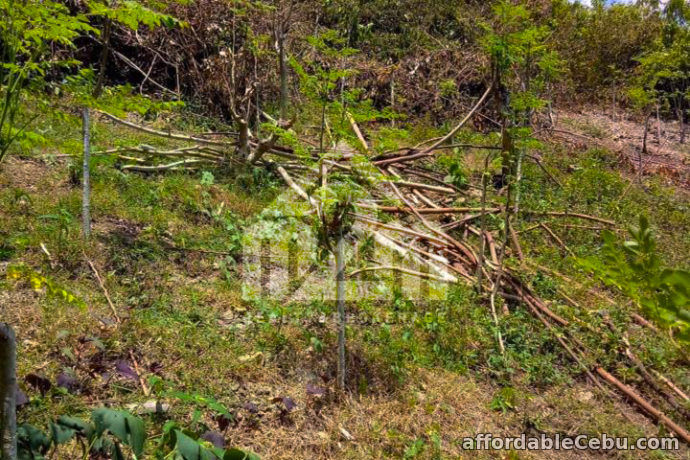 4th picture of Lot For Sale - Quirina Heights(LOT ONLY) Upper Casili, Mandaue City, Cebu For Sale in Cebu, Philippines