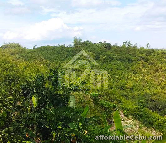 3rd picture of Lot For Sale - Quirina Heights(LOT ONLY) Upper Casili, Mandaue City, Cebu For Sale in Cebu, Philippines