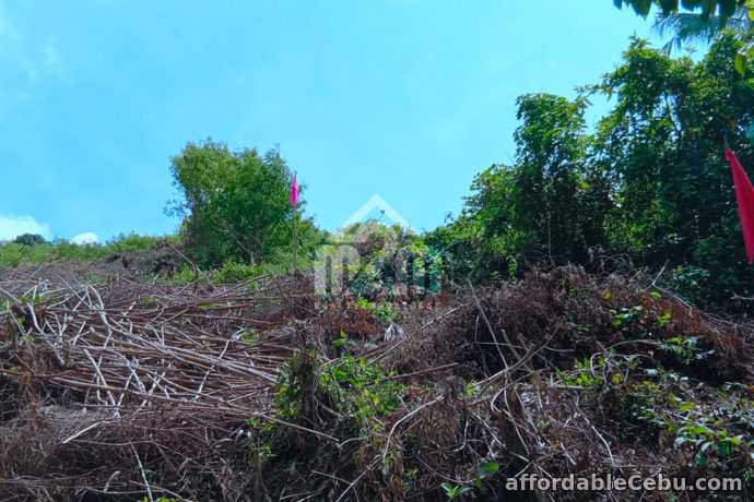 3rd picture of Woodridge Subdivision(LOT ONLY) Lower Cambayog, Compostela, Cebu For Sale in Cebu, Philippines