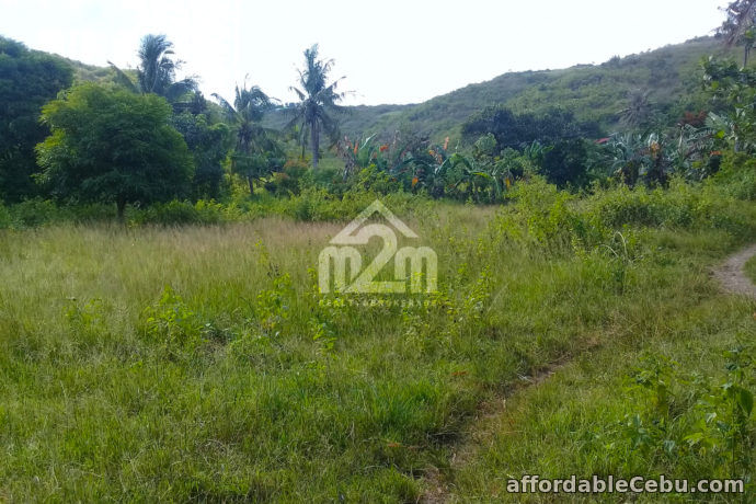 5th picture of Khaizelle Subdivision(LOT ONLY) Brgy. Sabang Danao, Cebu City For Sale in Cebu, Philippines