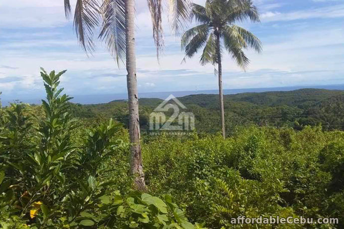 4th picture of Daniel’s Peak(LOT ONLY) Bagalnga Compostela, Cebu City For Sale in Cebu, Philippines