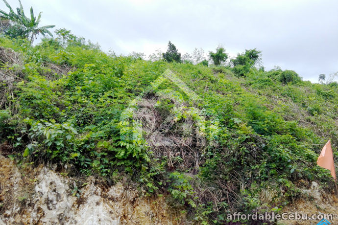 5th picture of Iven’s Ville Extension(LOT ONLY) Tamiao,Compostela, Cebu For Sale in Cebu, Philippines
