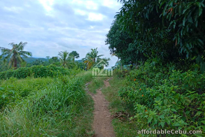 1st picture of Daniel’s Peak(LOT ONLY) Bagalnga Compostela, Cebu City For Sale in Cebu, Philippines