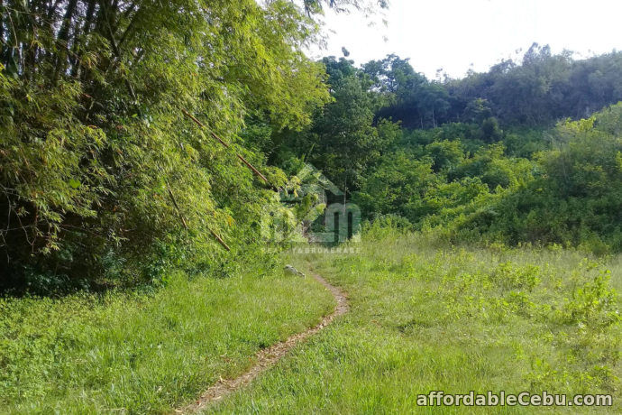 4th picture of Khaizelle Subdivision(LOT ONLY) Brgy. Sabang Danao, Cebu City For Sale in Cebu, Philippines