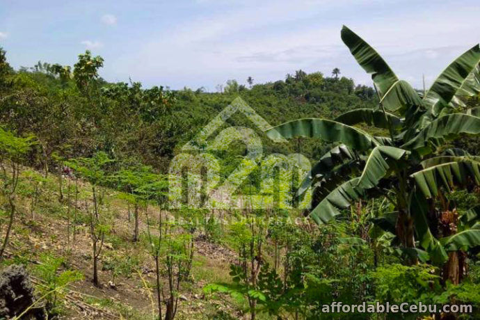 5th picture of Lot For Sale - Quirina Heights(LOT ONLY) Upper Casili, Mandaue City, Cebu For Sale in Cebu, Philippines
