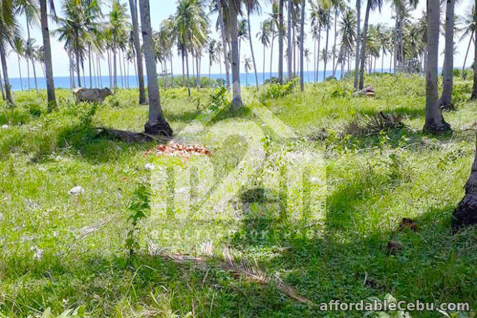 5th picture of Beach Lot For Sale - Sta. Monica Residences(BEACHLOT) Victorias, San Remigio Cebu For Sale in Cebu, Philippines