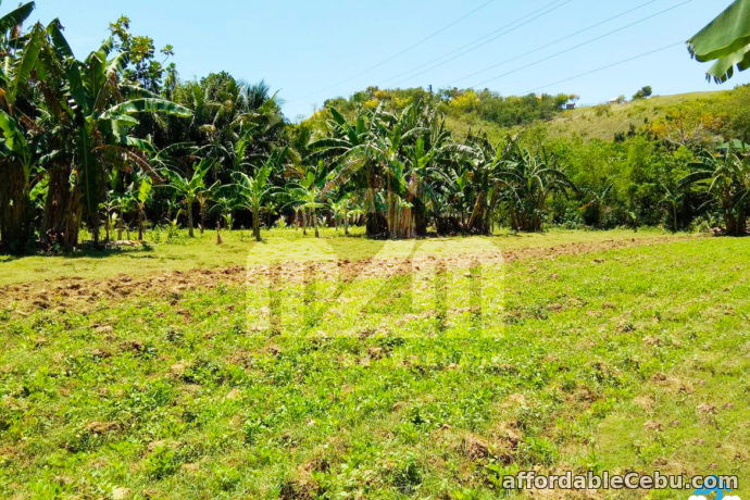 1st picture of Kardava Hillside Extension(LOT ONLY)  Tabunoc 2, Maslog, Danao City Cebu For Sale in Cebu, Philippines