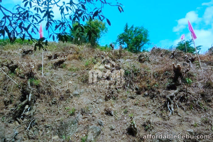 2nd picture of Woodridge Subdivision(LOT ONLY) Lower Cambayog, Compostela, Cebu For Sale in Cebu, Philippines