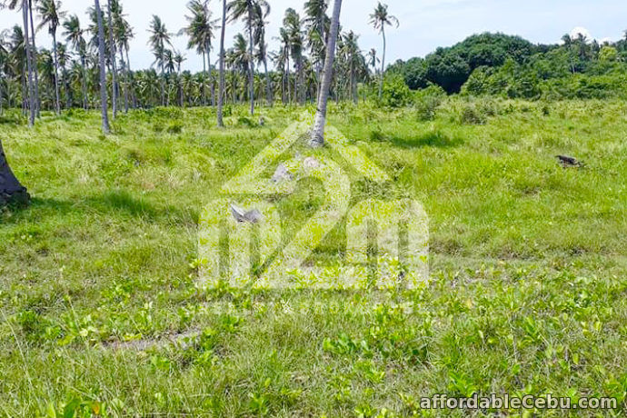 4th picture of Beach Lot For Sale - Sta. Monica Residences(BEACHLOT) Victorias, San Remigio Cebu For Sale in Cebu, Philippines