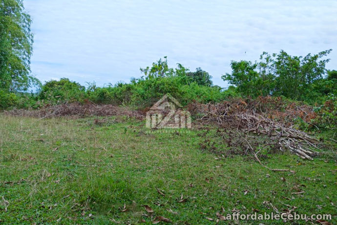 3rd picture of Daniel’s Peak(LOT ONLY) Bagalnga Compostela, Cebu City For Sale in Cebu, Philippines