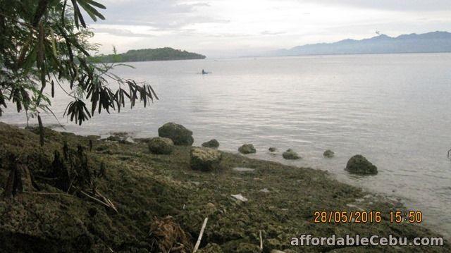 5th picture of Beautiful Beachfront Lot at Samal Island for Sale. Only P2.9 M o9357422292 gl For Sale in Cebu, Philippines