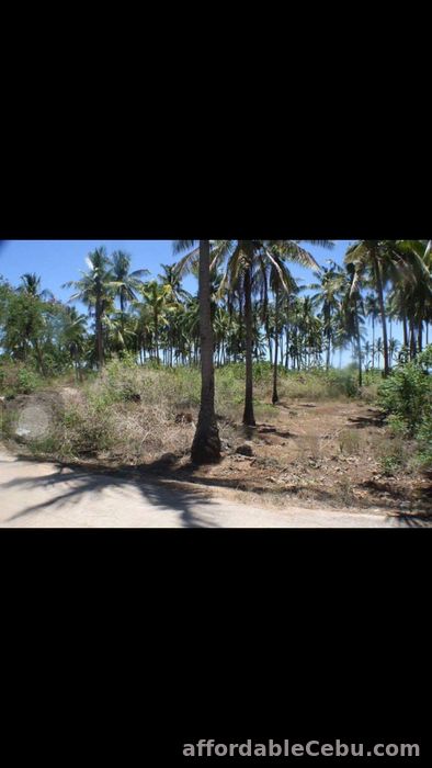 2nd picture of White sand beach lot in Bantayan Island (Atop-Atop) For Sale in Cebu, Philippines