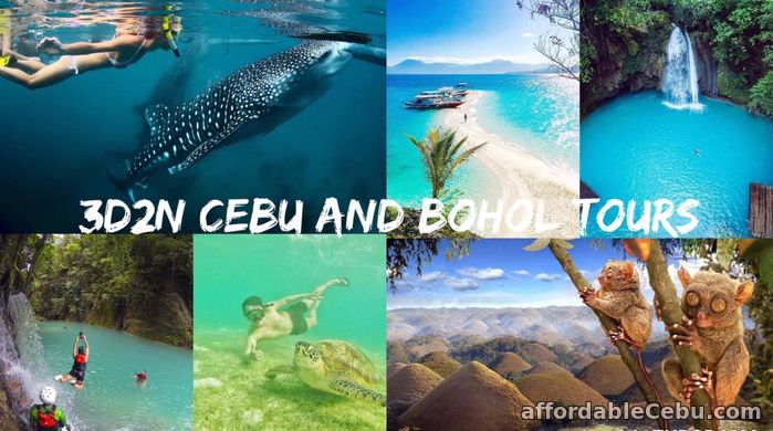 1st picture of Affordable Cebu Tours Offer in Cebu, Philippines