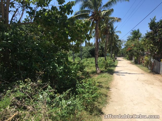 5th picture of Titled Land in Bakhawan Daan Bantayan Corner lot For Sale in Cebu, Philippines