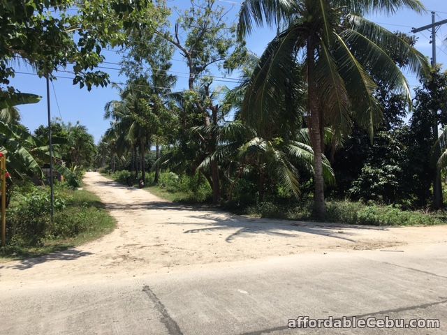 4th picture of Titled Land in Bakhawan Daan Bantayan Corner lot For Sale in Cebu, Philippines