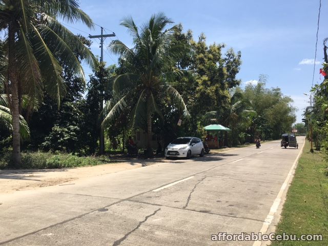 3rd picture of Titled Land in Bakhawan Daan Bantayan Corner lot For Sale in Cebu, Philippines