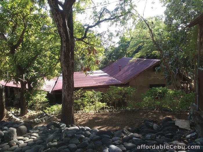 4th picture of Forest lot for sale with 3 build houses For Sale in Cebu, Philippines