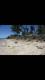 1st picture of White sand beach lot in Bantayan Island For Sale in Cebu, Philippines