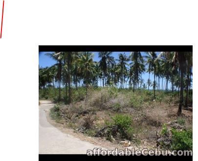 1st picture of Bantayan white beach for sale For Sale in Cebu, Philippines