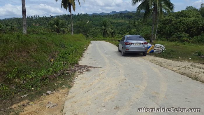 2nd picture of Farm for sale For Sale in Cebu, Philippines