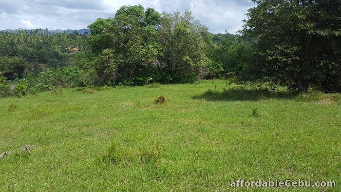 3rd picture of Farm for sale For Sale in Cebu, Philippines