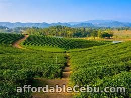 1st picture of Shillong Tour Packages Offer in Cebu, Philippines