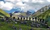 Mcleodganj Tour Packages