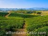 Shillong Tour Packages