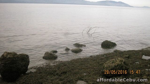 5th picture of Beautiful Beachfront Lot at Samal Island for Sale. Only P2.9 M o9357422292 gl For Sale in Cebu, Philippines