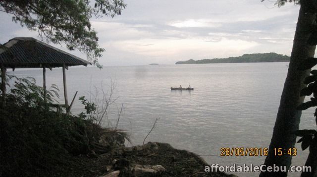 3rd picture of Beautiful Beachfront Lot at Samal Island for Sale. Only P2.9 M o9357422292 gl For Sale in Cebu, Philippines