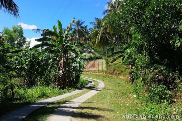 3rd picture of Grand Alv. Ranch(LOT ONLY) Carmen Cebu For Sale in Cebu, Philippines