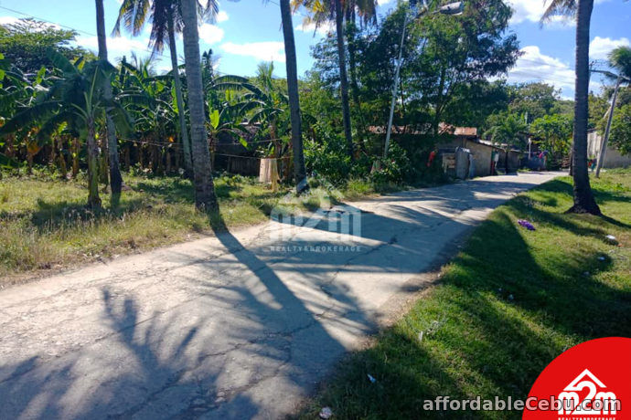 4th picture of Orland Plains(LOT ONLY) Cogon, Maslog Danao, Cebu City For Sale in Cebu, Philippines