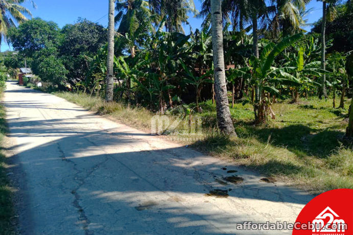 3rd picture of Orland Plains(LOT ONLY) Cogon, Maslog Danao, Cebu City For Sale in Cebu, Philippines