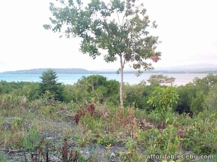 1st picture of WHITE SAND BEACH LOT ONLY Php1,500 per sqm -NEGOTIABLE For Sale in Cebu, Philippines
