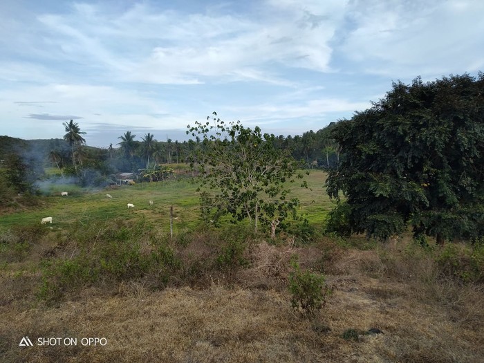 1st picture of 2.2 Hectare Farm Land at Compostela, Cebu For Sale in Cebu, Philippines