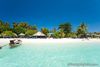 Tour Operator in Andaman