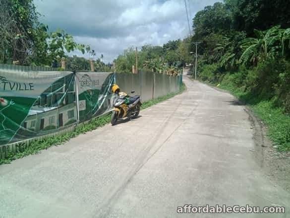 3rd picture of forestville subdivision For Sale in Cebu, Philippines