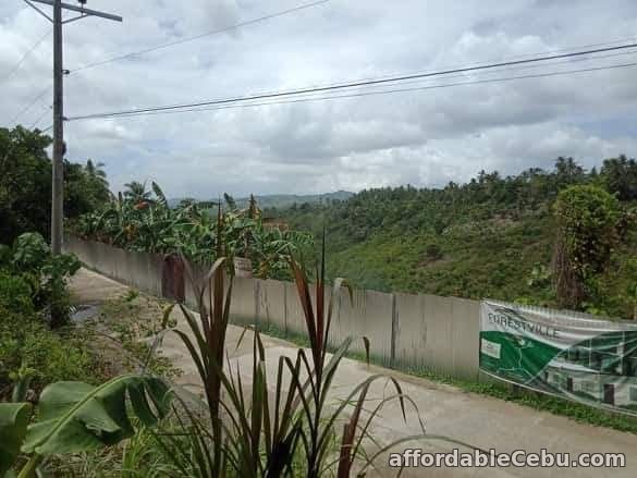 4th picture of forestville subdivision For Sale in Cebu, Philippines